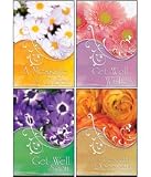 Scripture Greeting Cards-KJV-Boxed-Get Well - 