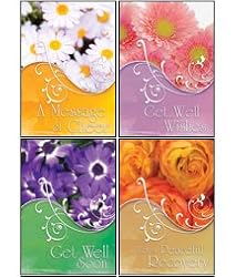 Scripture Greeting Cards-KJV-Boxed-Get Well - "Petals of Cheer"