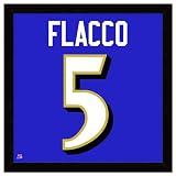 Joe Flacco Framed Jersey Photo Wall Art