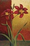 Casablanca Tapistry II - Artist: Hudson Julianna - Art Print Poster Size: 24.00 by 36.00 inches