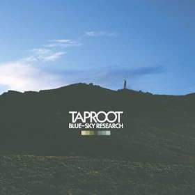 Birthday (Album Version)