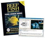 Reef Fish Identification: Florida, Caribbean, Bahamas