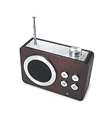 LEXON MINI Dolmen Radio