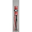 Georgia Bulldogs NCAA Lighted Windsock by New Creative