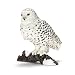 Schleich シュライヒ シロフクロウ_s-2