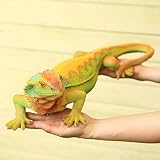 置物・フィギュア：オレンジオオトカゲ