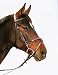 jw reitsport Trense mexikanisches Reithalfter schwarz