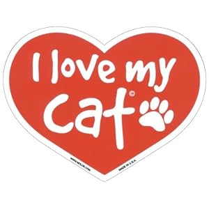 Cat Magnet by Molor Products