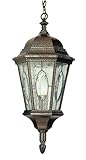 Trans Globe 4717 Watered Windows - One Light Outdoor Hanging Lantern, Bronze Finish with Water Stained Glass