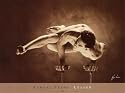 Lezard Art Poster Print by Louis Ducharme, 24x19