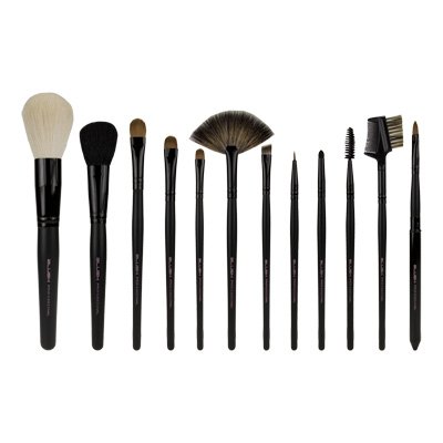 Blush Professional 12teilig Kosmetik Make-up Pinsel Brush Set Preisvergleich