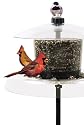 Droll Yankees, Inc The Jagunda Feeder with Auger