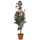 f-DECO ���[�Y���b�h 110cm