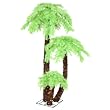 2',4.5',6' Chartruese Palm
