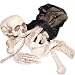 Bag of Bones 18pcs