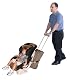 Traveling Toddler Car Seat Travel Accessory