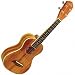 Washburn Koa Ukulele