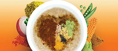Oatmeal By Vivomeal- Indian Spiced Oatmeal (Pack of 10 Cups)
