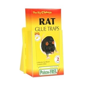 Rat Glue Trap 2/Pk
