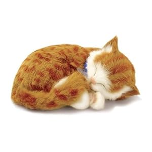 Perfect Petzzz Orange Tabby by Perfect Petzzz