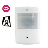Wall Spy Surveillance home security Camera + Sony CCD Lens + IR Light + Outdoor