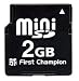 2 GB MiniSD Memory Card w/SD card adapter