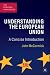 Understanding the European Union: A Concise Introduction (The European Union Series)