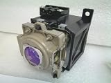 Lampedia Replacement Lamp for BENQ PE8720 / W10000 / W9000