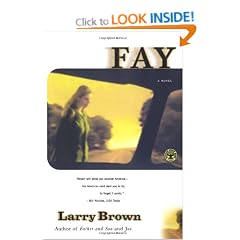 Fay: A Novel