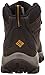 Columbia Men's Newton Ridge Plus II Hiking Boot