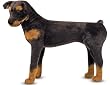 Melissa Doug 2115 Rottweiler- Plush