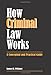 How Criminal Law Works: A Conceptual and Practical Guide