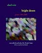 Bright Desert: poems of Chad Witt 1989-2000