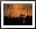 Sunset Through Trees, by Bohai Sea, Qinhuangdao, Hebei Province Photographers Framed Art Poster Print by Raymond Gehman, 39x31