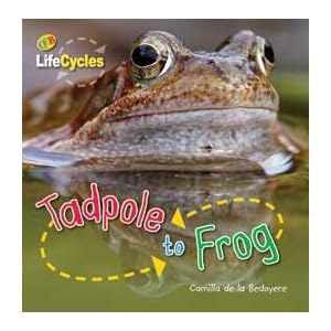 Egg to Chicken/Tadpole to Frog (Flip Me Over) (QEB Life Cycles)