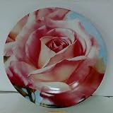 4 PC PINK ROSE - TEA AND SALAD PLATES - TEA SALAD PLATE SET S/4 FL ROS