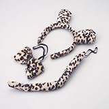 Leopard Costume Set