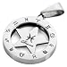 Search : Atlas Jewels 316L Stainless Steel "Pisces" Zodiac Astrology Sign Pendant Necklace
