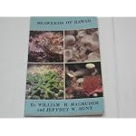 Seaweeds of Hawaii: A Photographic Identification Guide book cover