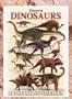 Discover Dinosaurs Playing Cards