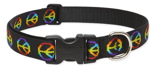 Lupine Large Dog Collar - Woofstock 12-20