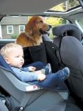 Pet Supplies : Kurgo Backseat Barrier