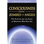 Consciousness from Zombies to Angels: The Shadow and the Light of Knowing Who You Are