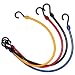 Pet Supplies : The Perfect Bungee Cord - 18 inches long