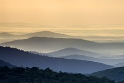 Fog Settles in the Shenandoah Mountains of Virginia - Remarkable 16x20 Photographic Print by Brendan Reals