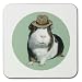 Takkoda Guinea Pig Animal Coaster