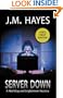 Server Down (Mad Dog & Englishman Mysteries)