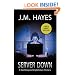 Server Down (Mad Dog & Englishman Mysteries)
