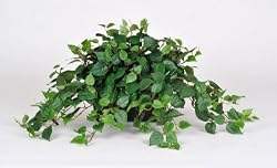 Artificial Mini Philo Ledge