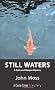 Still Waters: A Quin and Morgan Mystery (Castle Street Mysteries)